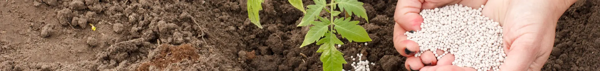 Îngrășăminte Ecologice